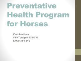 Vaccination Program for Horses4