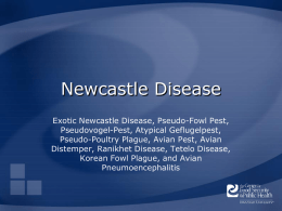Newcastle Disease - The Center for Food Security and Public Health