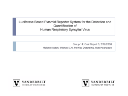 Luciferase Based Plasmid Reporter System for the