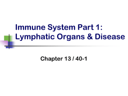 Immune System KD12