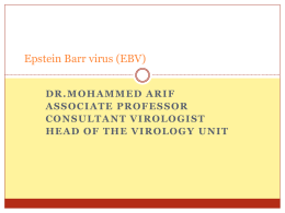 Epstein Barr virus (EBV)