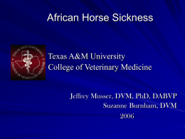 during - Texas A&M University College of Veterinary Medicine