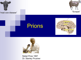 Prions (this will probably be covered in lab on Friday)