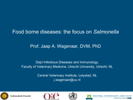 Salmonella - OIE Middle East