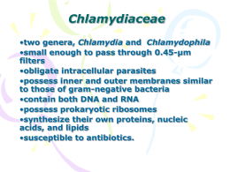 Chlamydia and Chlamydophila species1.14 MB