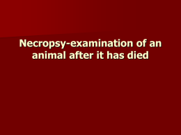 Necropsy: Facilities - Dr. Brahmbhatt`s Class Handouts