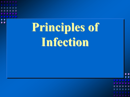 TPJ 3C1 Principles of Infection