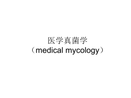 医学真菌学 （medical mycology）