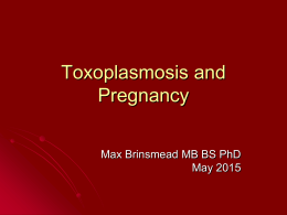 Cytomegalovirus Infection and Pregnancy