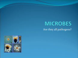 Microbe Powerpoint