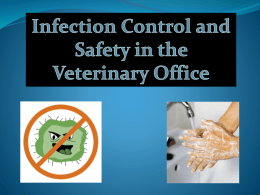 infection control in the vet settingx
