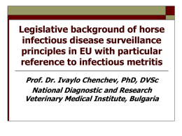 Horse infectious disease