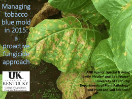 Managing tobacco blue mold in 2015: a