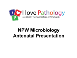 Antenatal microbiology (MS powerpoint)