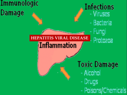hepatitis B surface antigen
