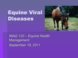 Equine Viral Diseases
