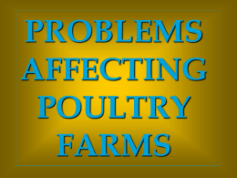 problem_of_poultry_farms