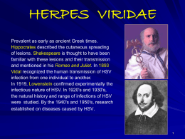 herpes viridae
