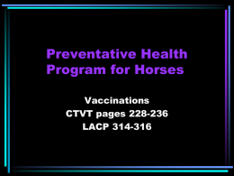 Preventative Health Program for Horses