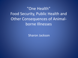 Food Security, Public Health and Other Consequences of Animal