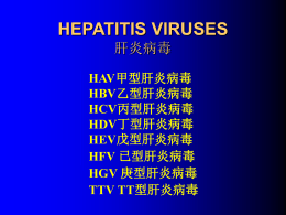 肝炎病毒