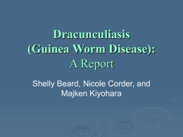 Dracunculiasis (Guinea Worm Disease): A Report