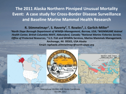 Interim Report Alaska Ice seal and Pacific Walruses Unusual
