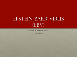 Epstein-barr virus and infectious mononucleosis