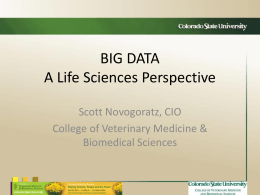 Scott Novogoratz, College of Veterinary Medicine