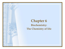 Chapter 5 Diversity of Microorganisms Eucaryotic Microbes