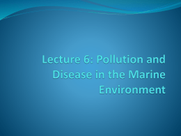 Lecture 3: Pollution and Disease
