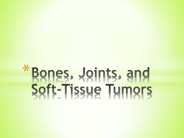 Bones, Joints, and Soft