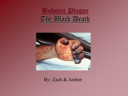 Bubonic Plague The Black Death