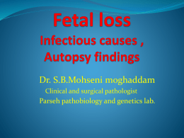 Fetal loss Infectious causes , Autopsy findings