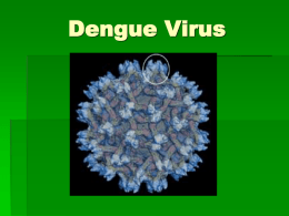 Dengue Virus - WordPress.com