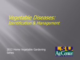 Major Causes of Plant Diseases