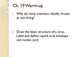 Viruses - Phillips Scientific Methods