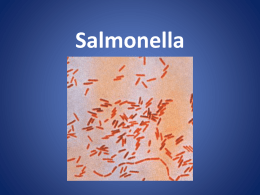 Salmonella - IISME Community Site