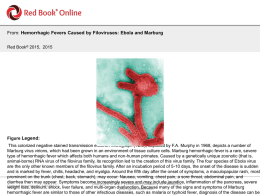 Ebola and Marburg - AAP Red Book