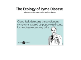11 - Lyme Diseasex