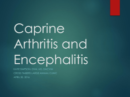 Caprine Arthritis and Encephalitis