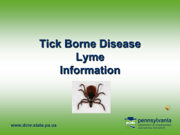 LYME Disease Tick Bit Information