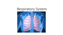 Respiratory Unit PPT