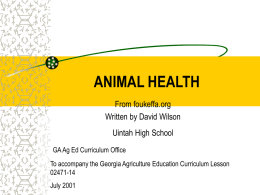 Basic Animal Health