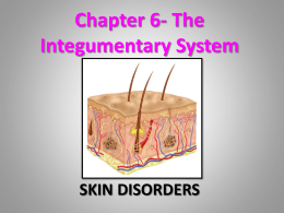 Chapter 6- The Integumentary System SKIN DISORDERS