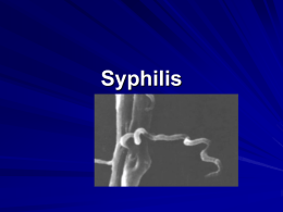 Syphilis - MedTorrents