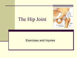 Hip_injuries