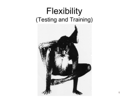 Flexibility