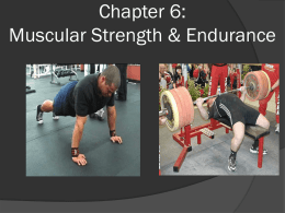 Muscular Strength/Endurance