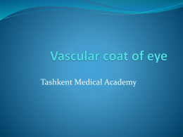 Vascular coat of eye
